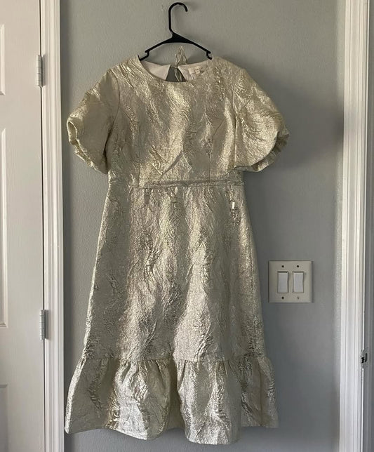 ✨Shiny Dress✨￼